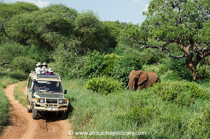 Tarangire